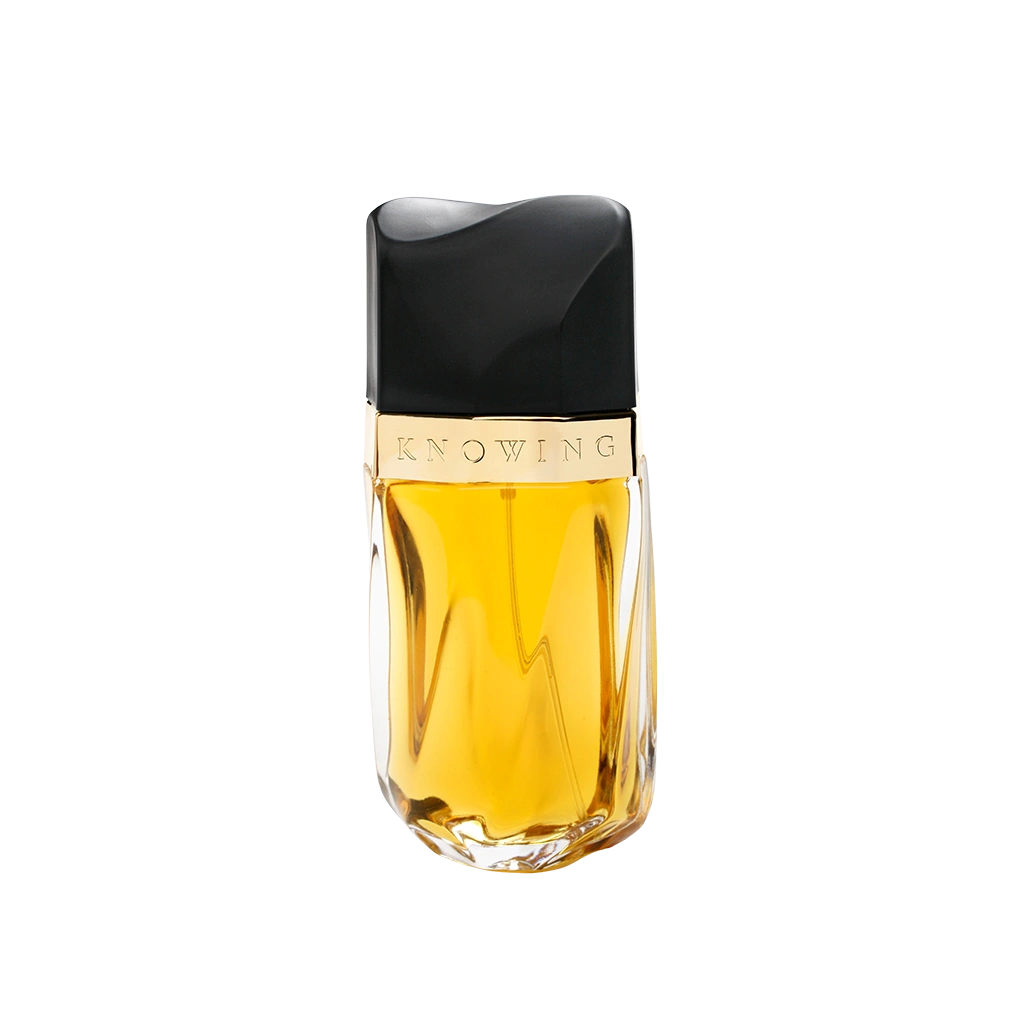 נואינג א.ד.פ Estee Lauder