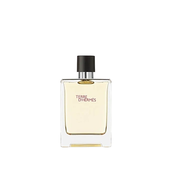 Terre D'Hermès Eau De Toilette Hermès