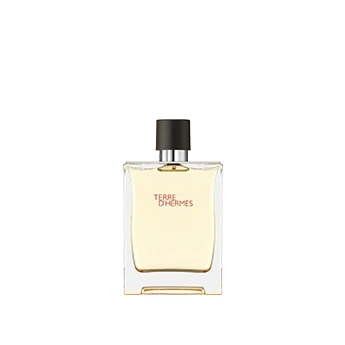 Terre D'Hermès Eau De Toilette Hermès