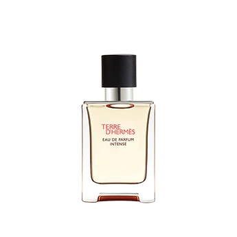 Terre d'Hermès E.D.P Intense Hermès