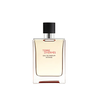 Terre d'Hermès E.D.P Intense Hermès