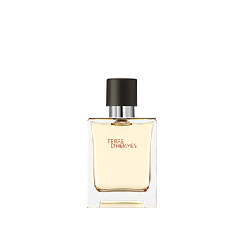 Terre D'Hermès Eau De Toilette Hermès
