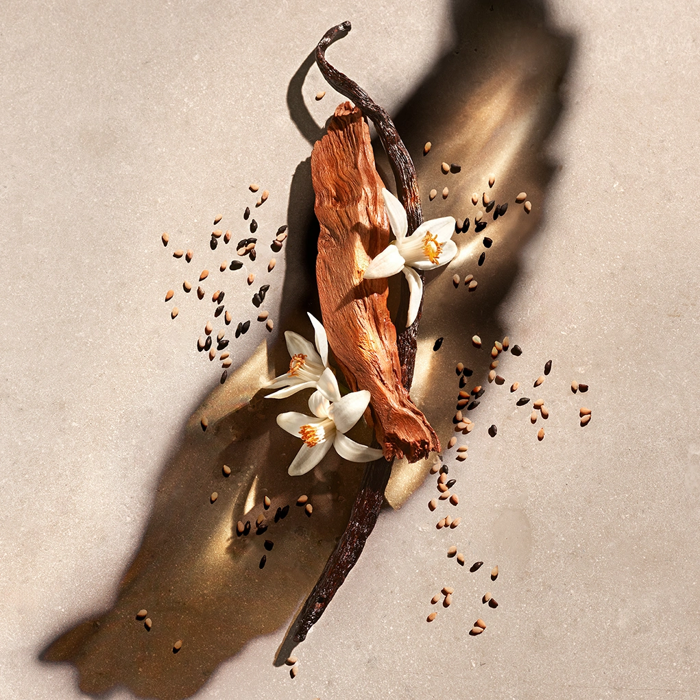 קרוסלה 3 זדיג א.ד.פ