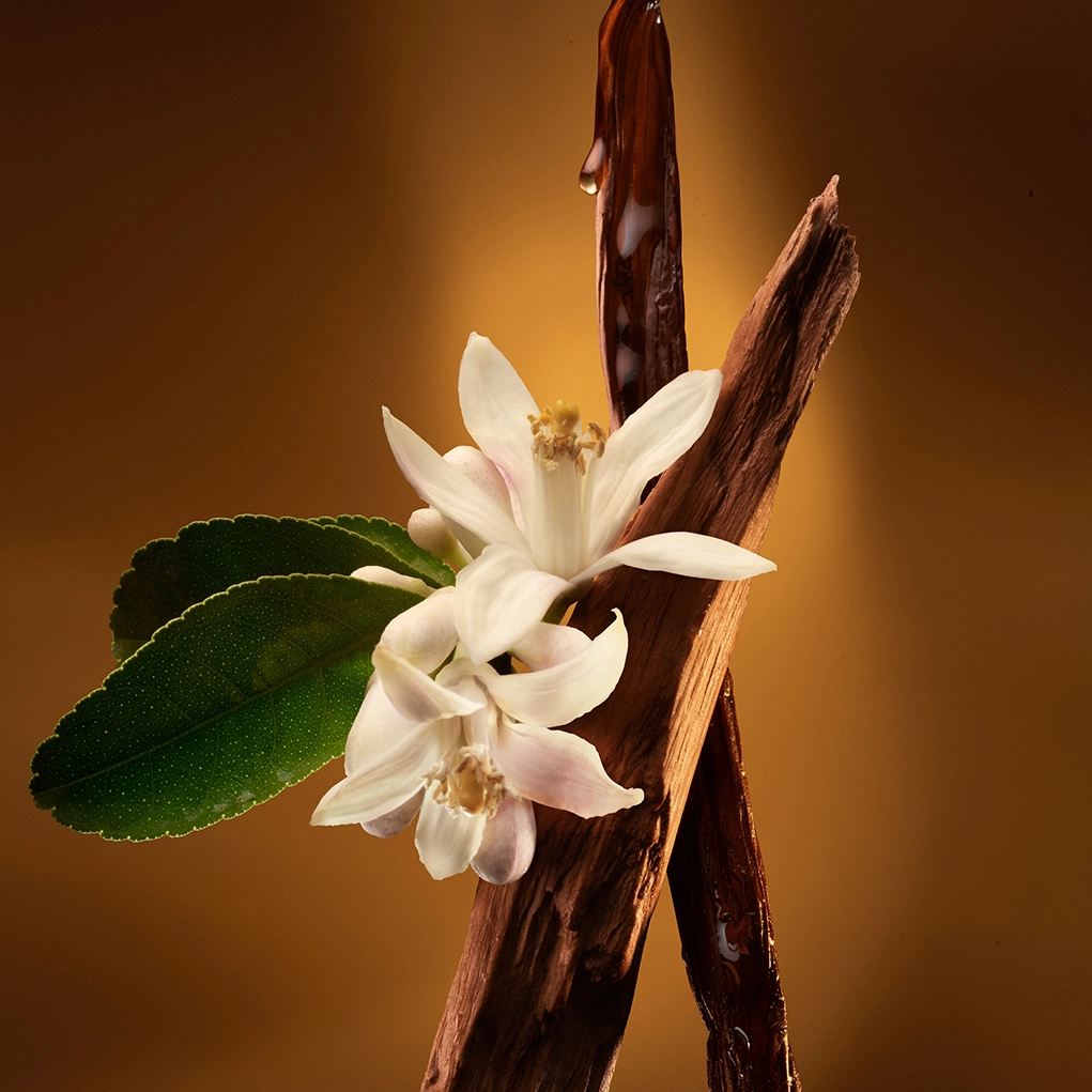 קרוסלה 3 זדיג אינטנס א.ד.פ