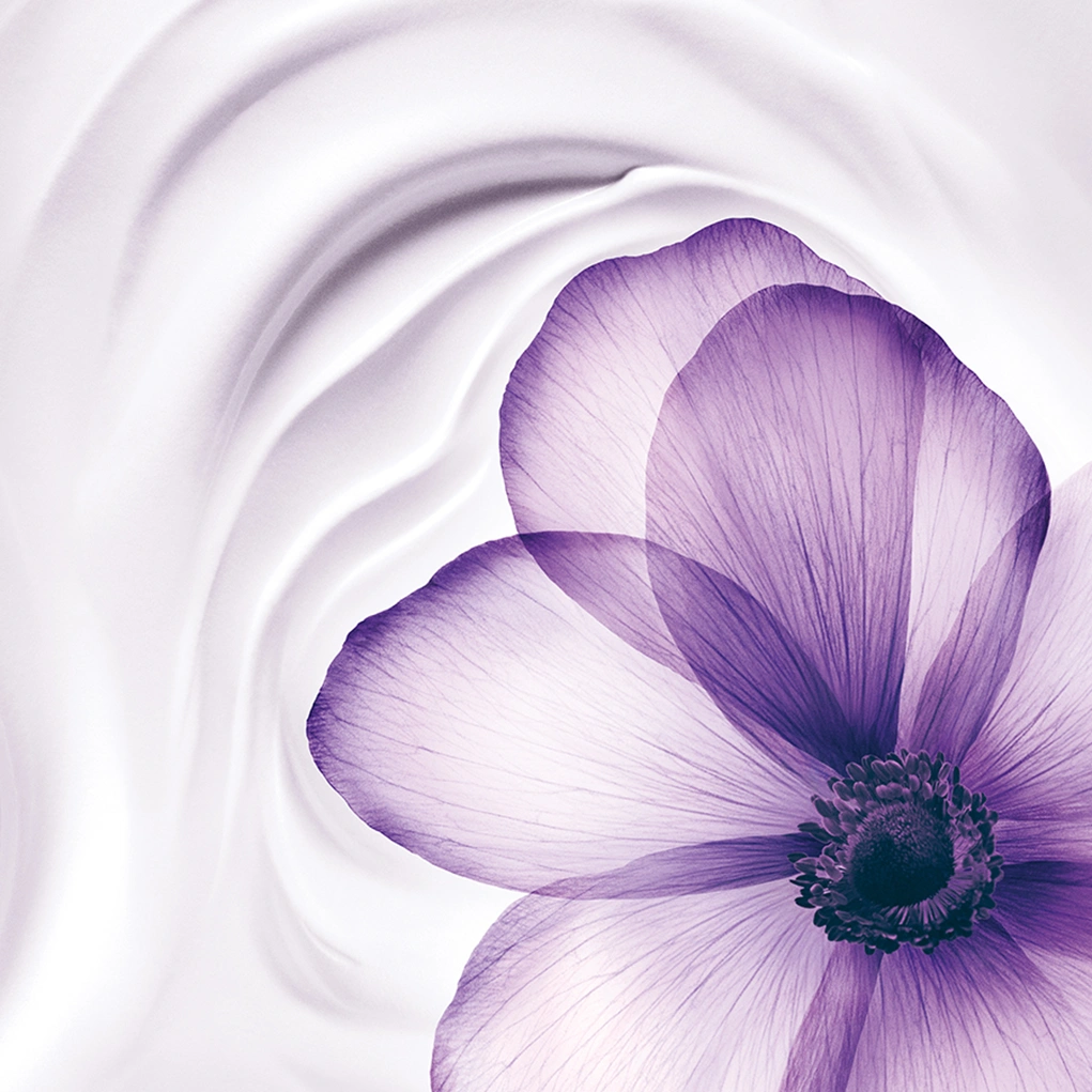 קרוסלה 4 קרם לילה רנרג'י מולטי ליפט