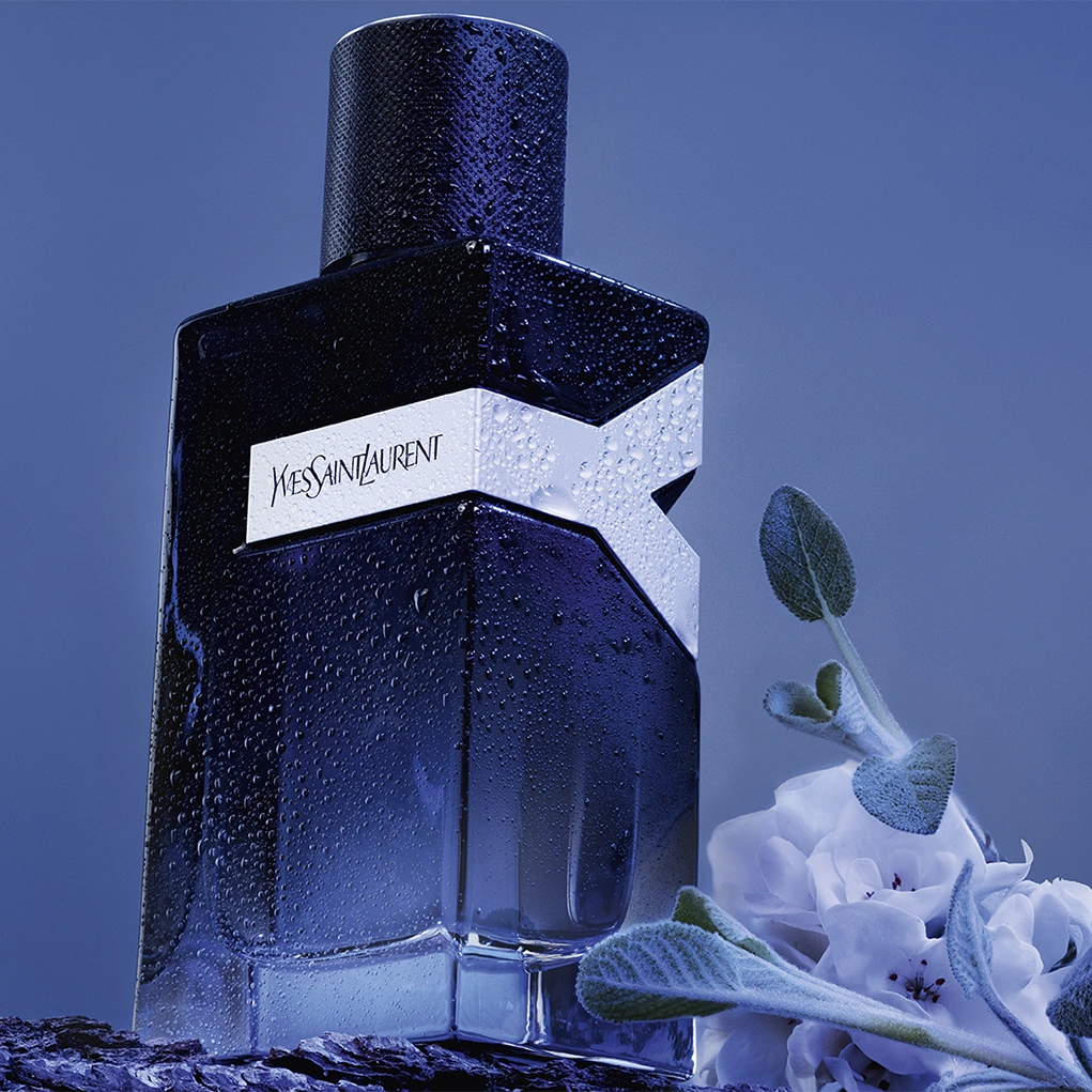 קרוסלה 2 Y לגבר א.ד.פ