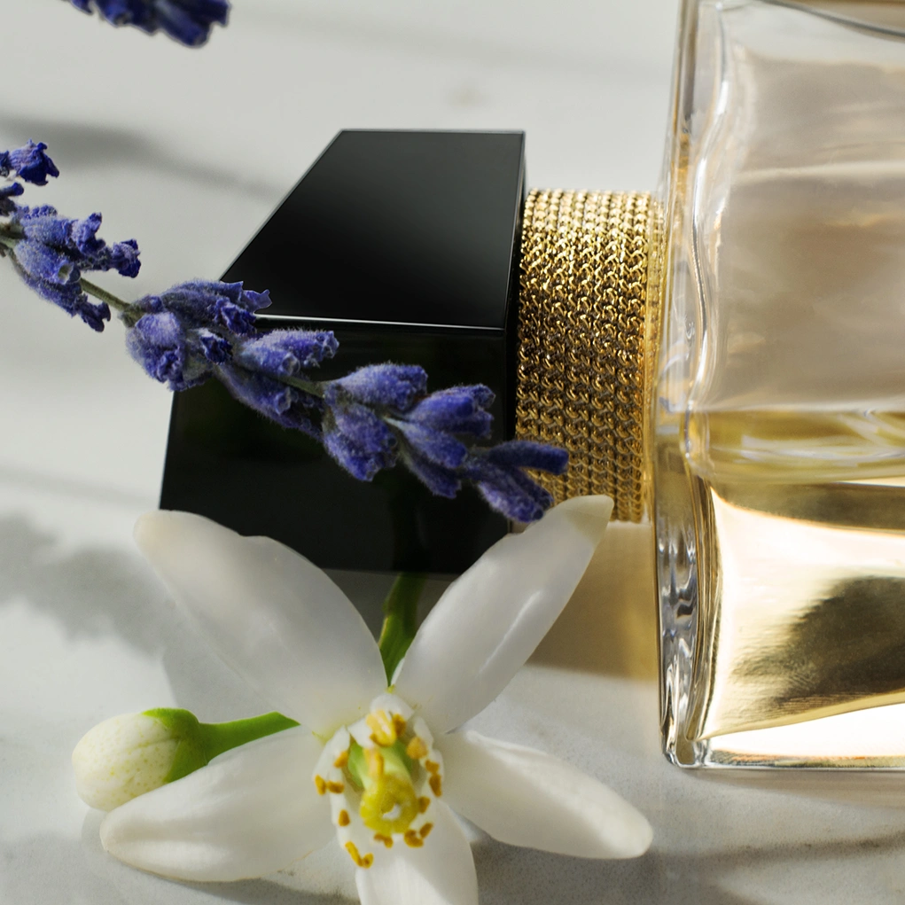 קרוסלה 4 ליברה א.ד.פ