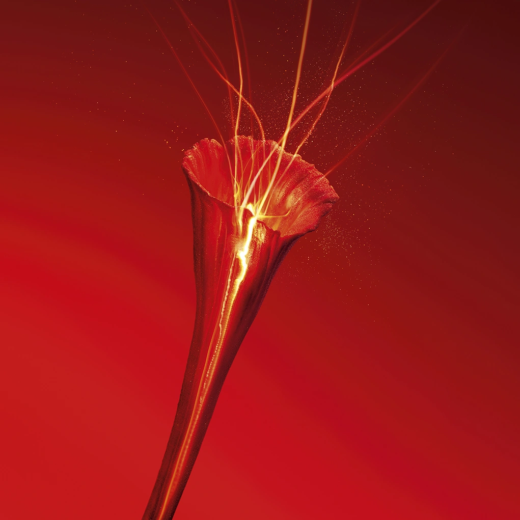 קרוסלה 3 קרם פנים אור רוג'