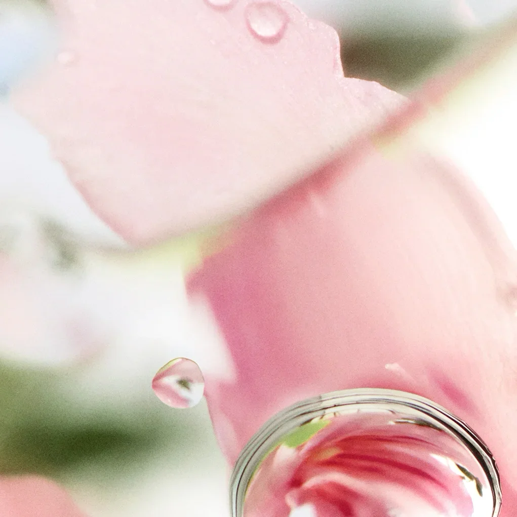 קרוסלה 5 אובר דה טופ א.ד.ט