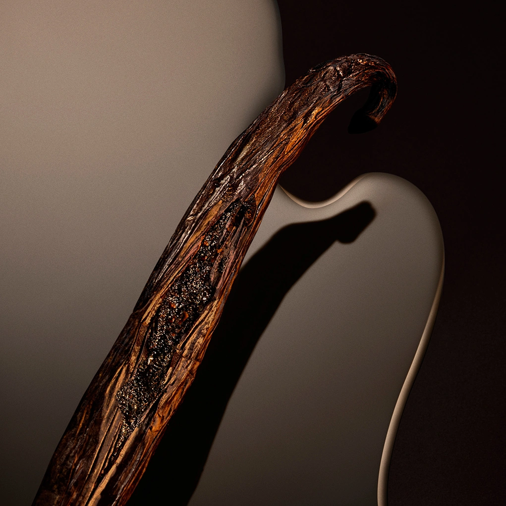 קרוסלה 4 דה סנט מגנטיק א.ד.פ