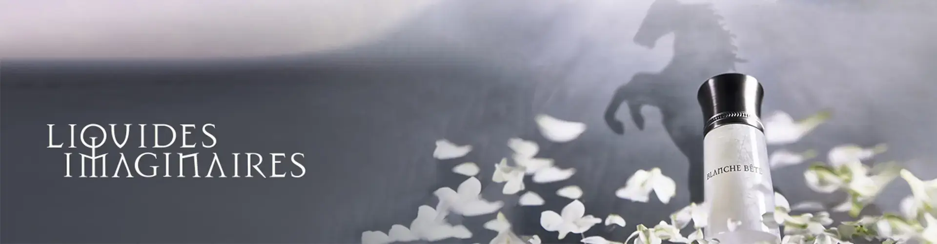 ליקיד אימיאג'ינר