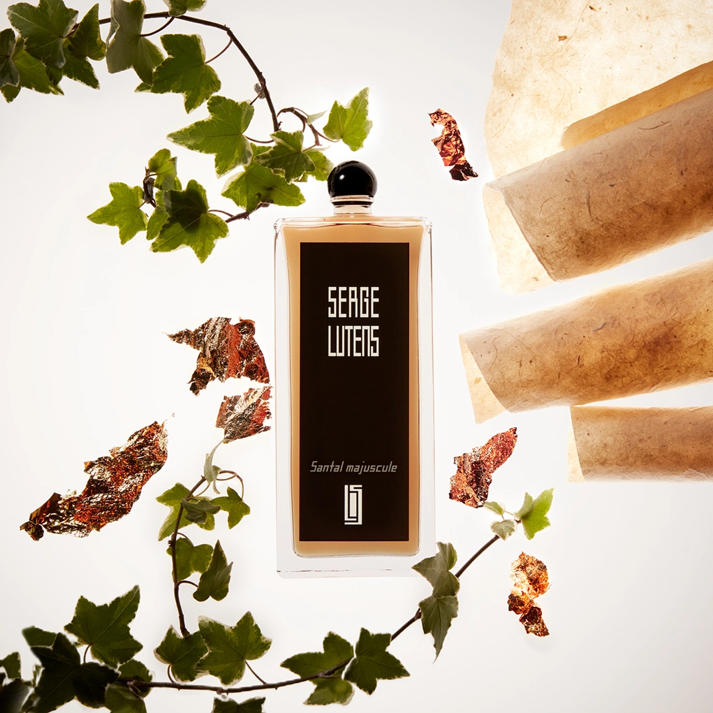 קרוסלה 3 סנטל מג'וסקול א.ד.פ