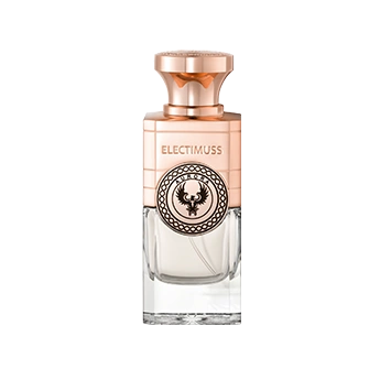 Aurora E.D.P Electimuss