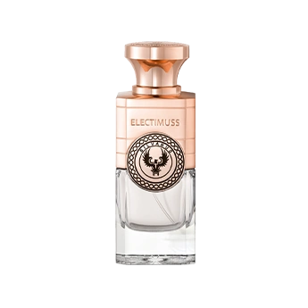 Silvanus E.D.P Electimuss