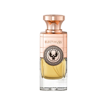 Auster E.D.P Electimuss