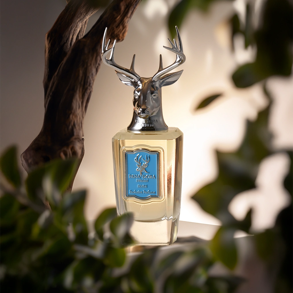 קרוסלה 3 סקאדי א.ד.פ