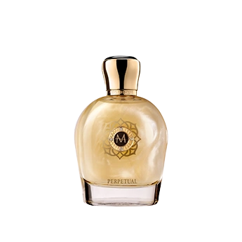 Moresque Perpetual E.D.P Moresque