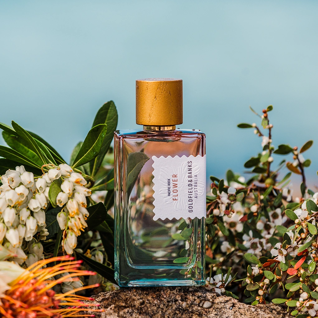 קרוסלה 3 פסיפיק רוק פלאוור א.ד.פ